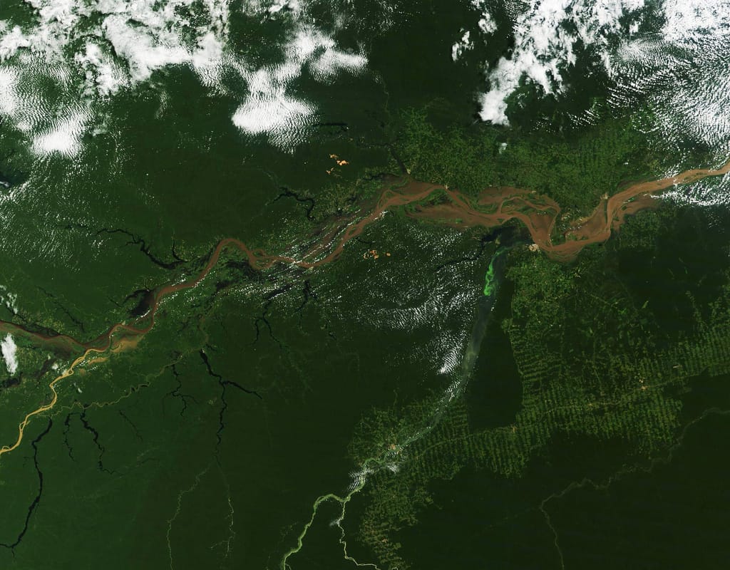 Amazon River