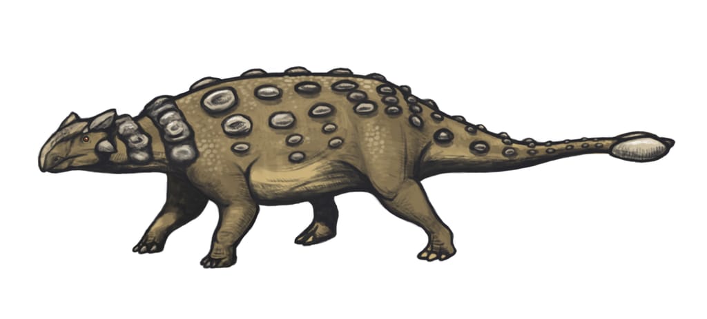 Ankylosaurus