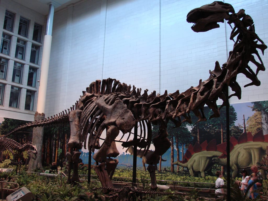Apatosaurus