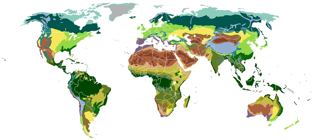 Biome