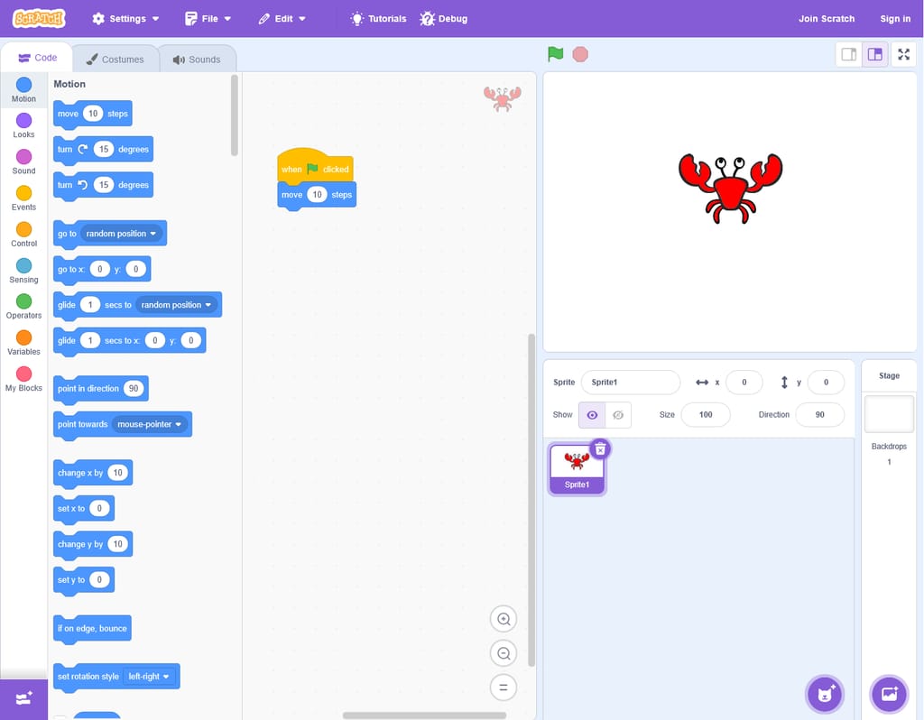 Coding (Programming)