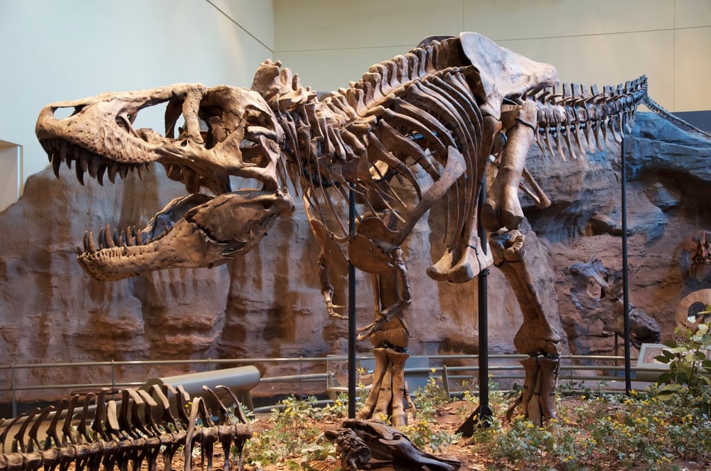 Dinosaurs