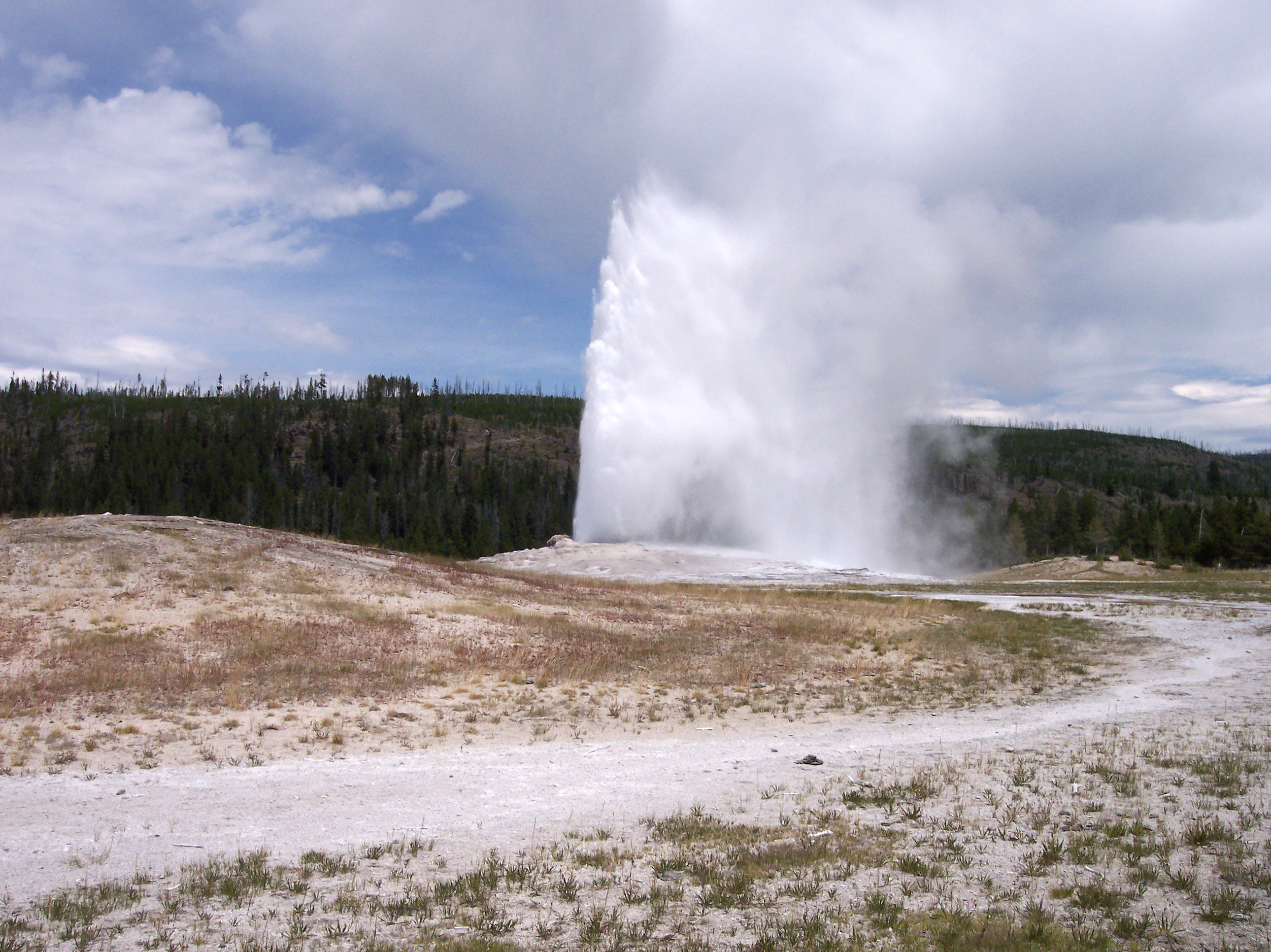 Geyser