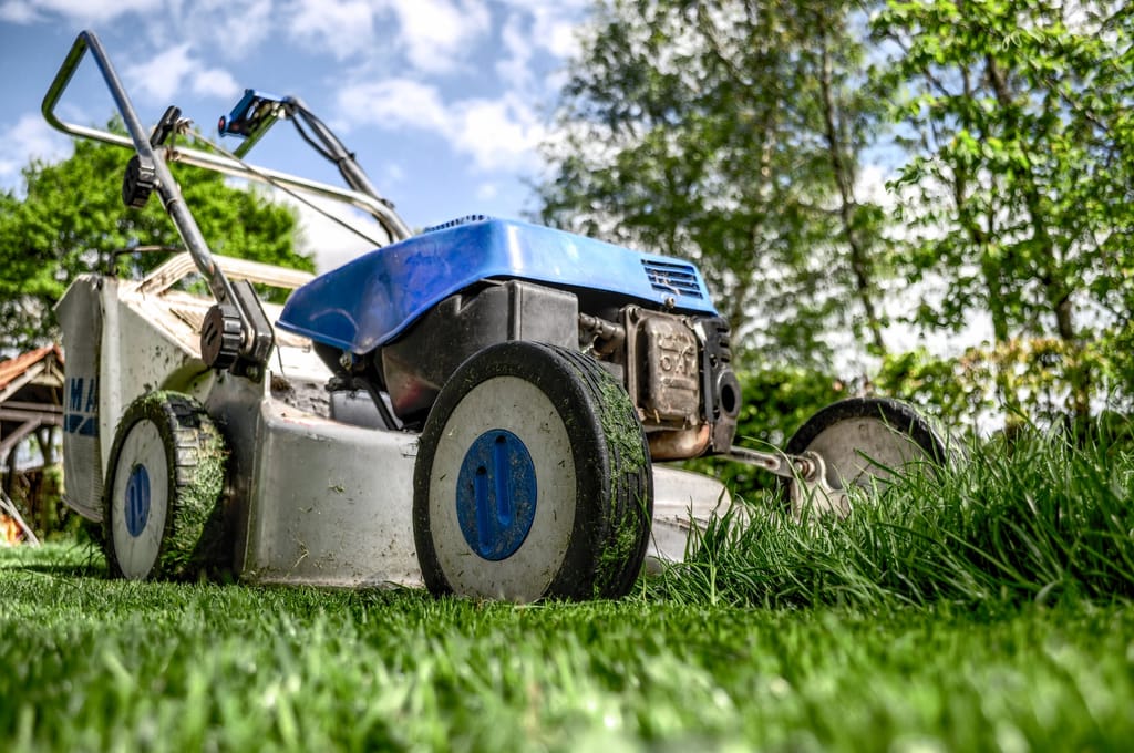 Grass