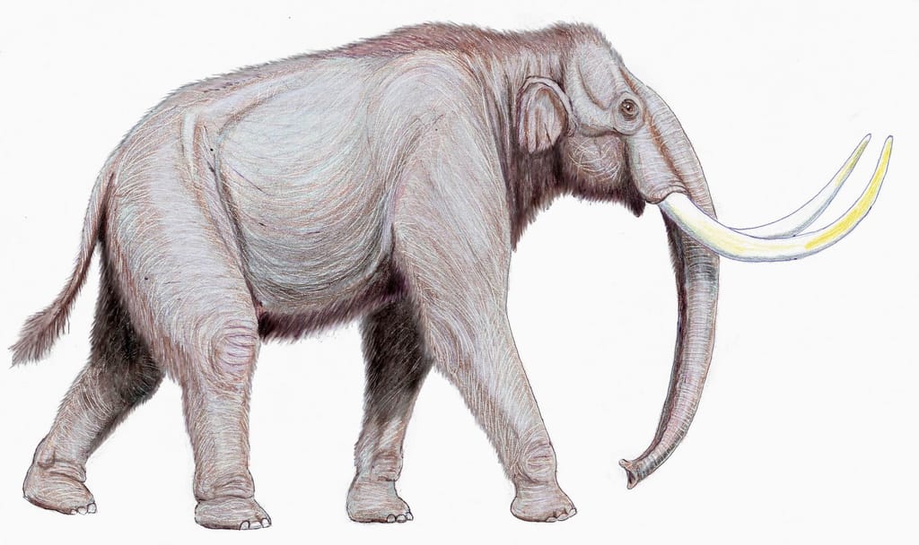 Ice Age
