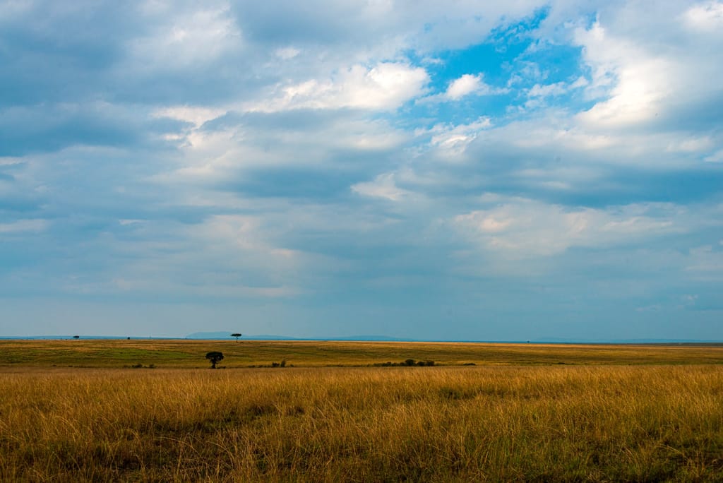 Kenya