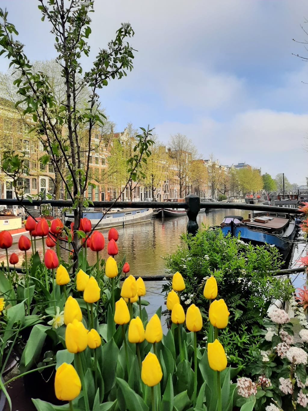 Netherlands