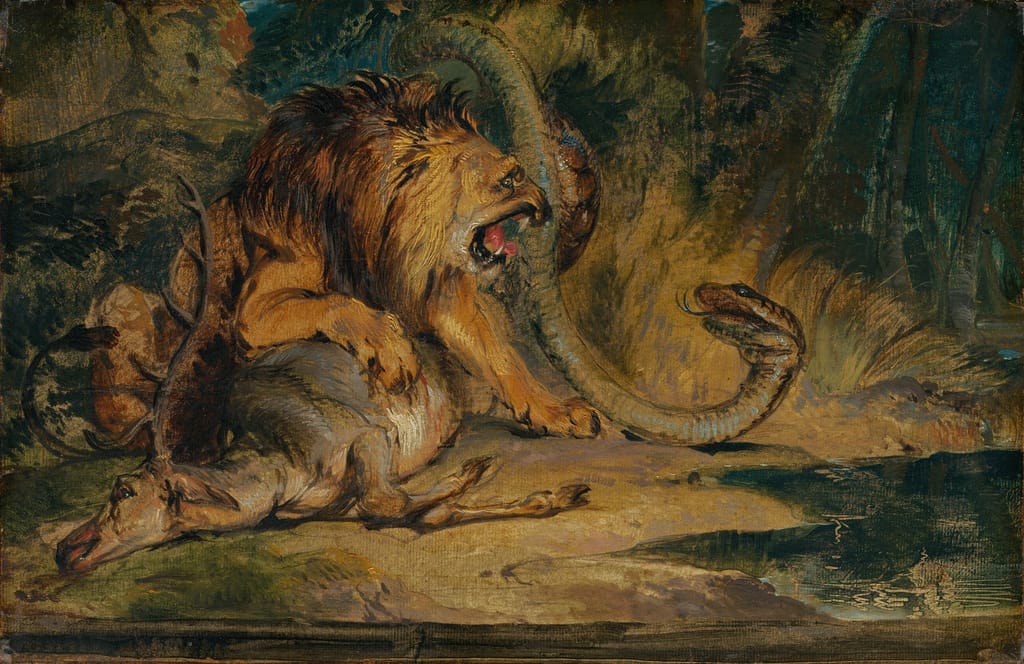 Predator and Prey