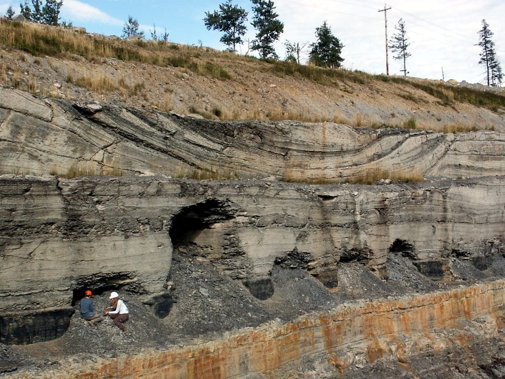 Sedimentary Rock