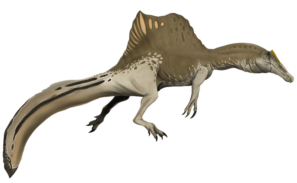 Spinosaurus