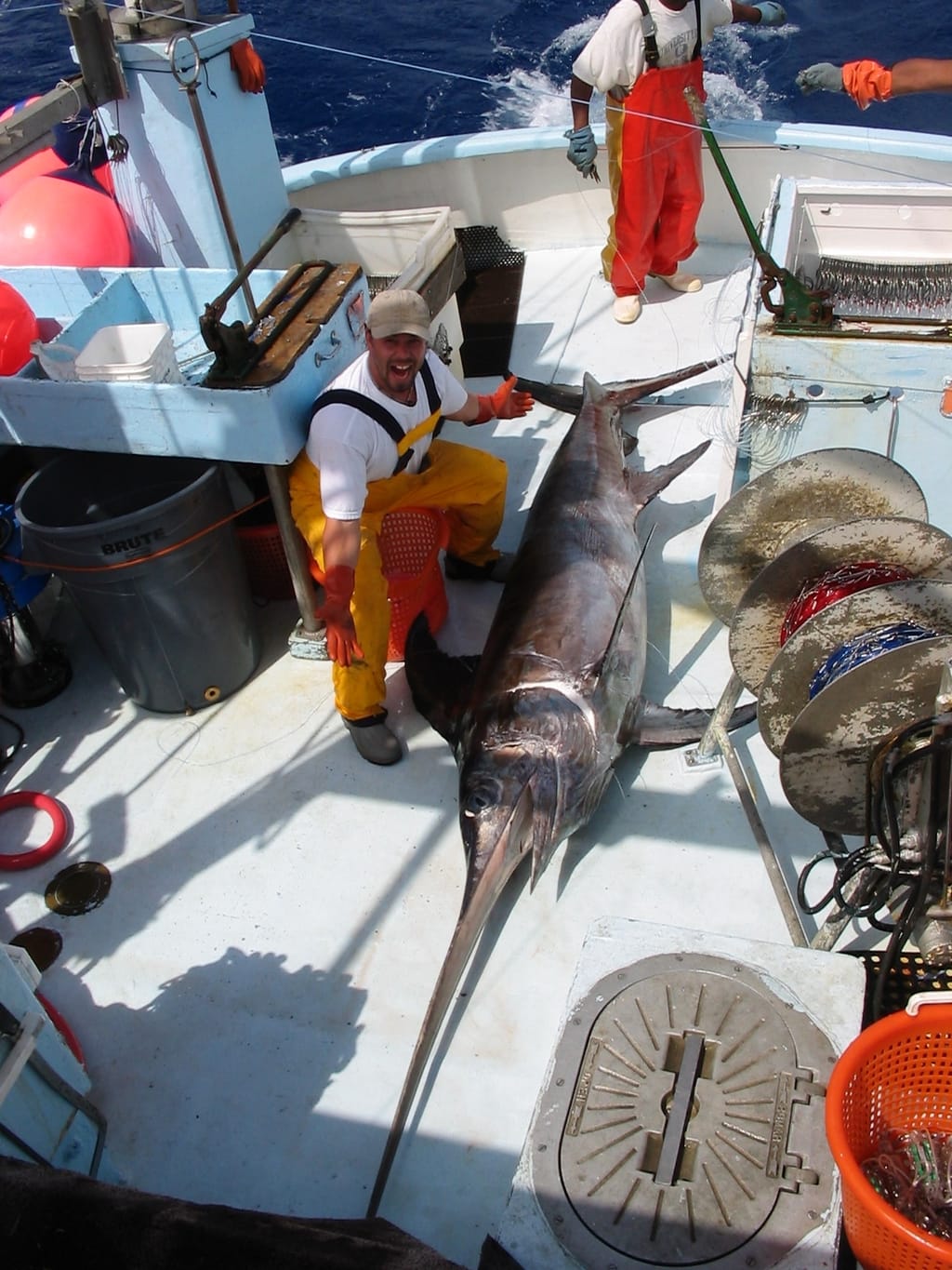 Swordfish