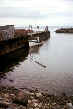 Tide